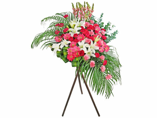 開張花籃 Z1v